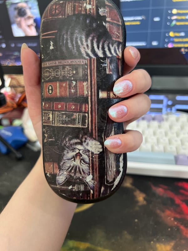 Person displays cat-themed glasses case in Pushchino