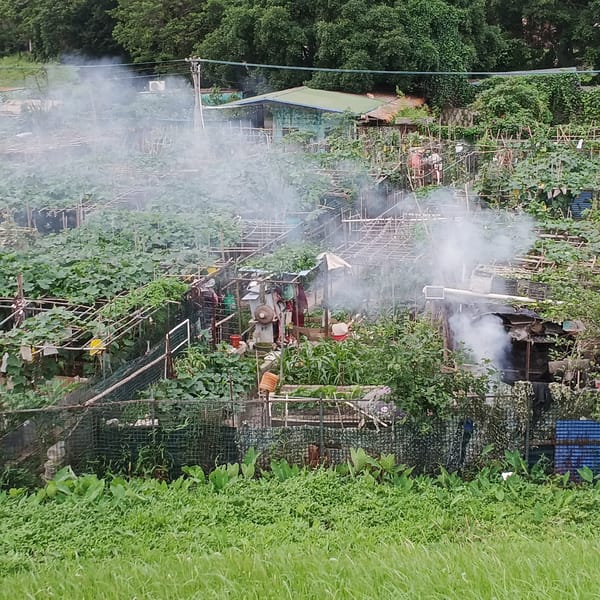 Green spaces documented in Shunde District agricultural and park areas