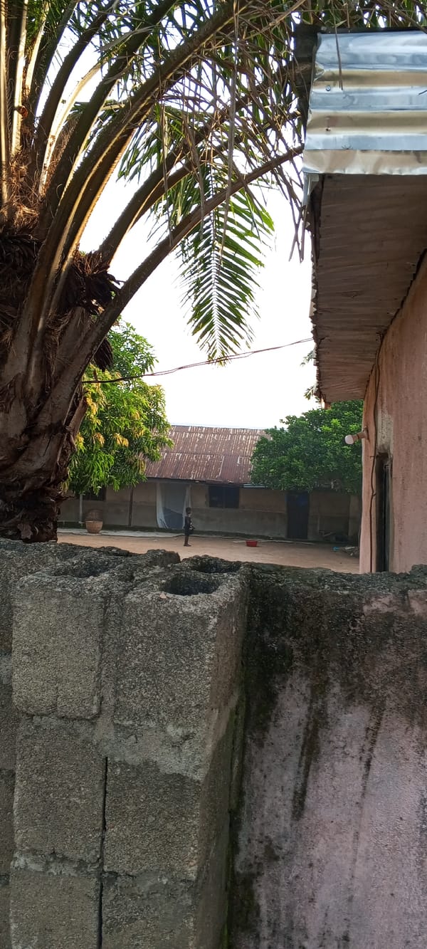 Street-level scenes from a Jalingo neighborhood on a June morning