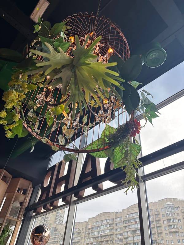 Visitor documents ornate Saint Petersburg restaurant interior during evening visit