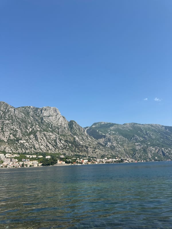 Cruise ship docks in Bay of Kotor near Prčanj