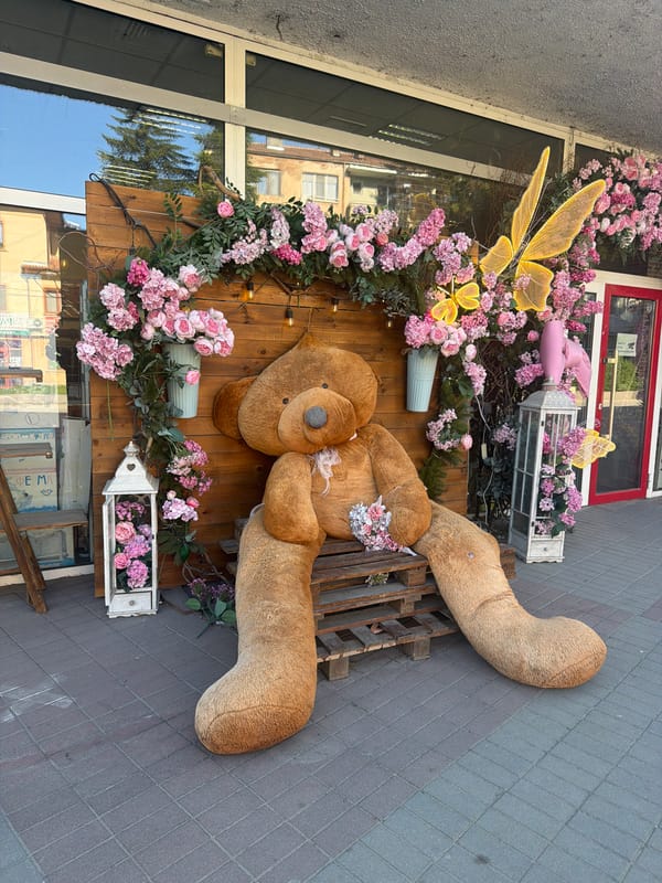 Elaborate teddy bear display decorates Lukovit storefront with flowers