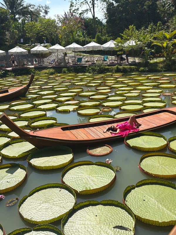 Woman in pink dress boats through water lilies in Thailand