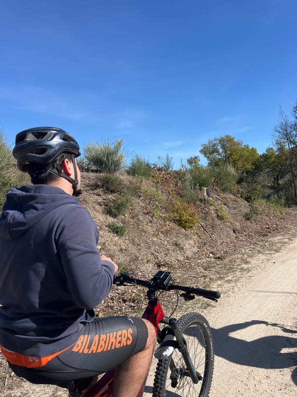 Mountain biker spotted on dirt trail in Vila Real