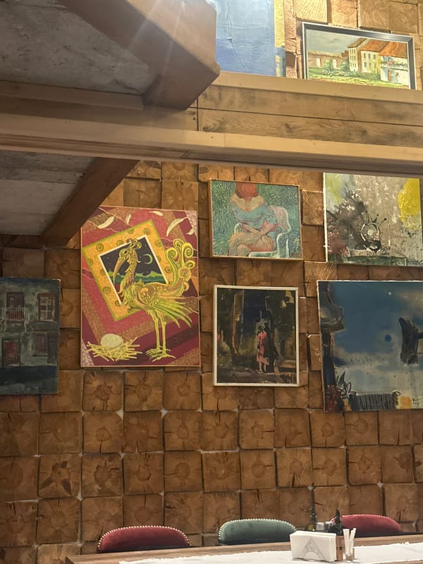 Indoor plant display observed in Varna home