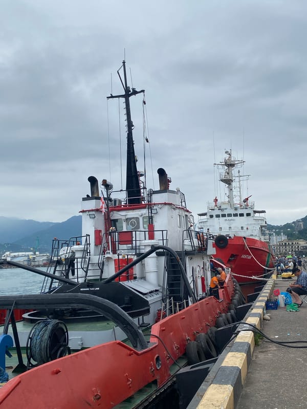 Tugboats and ships line the working waterfront in Batumi