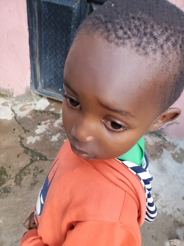 Afternoon in a Jos compound: orange hoodie, a dog, an iron gate