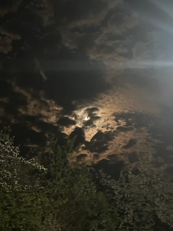 Witness documents dramatic moonlit night scene in Kribul, Bulgaria