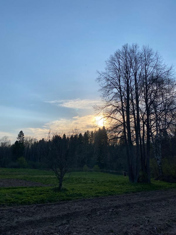 Rural life documented at sunset in Баклуши, Russia