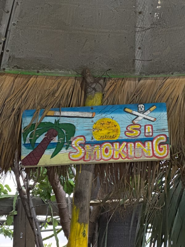 Handmade anti-smoking signs documented at thatched bar in Atlixco