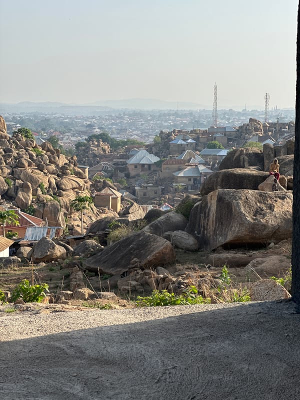 Jos cityscape and kitten documented from rocky vantage point