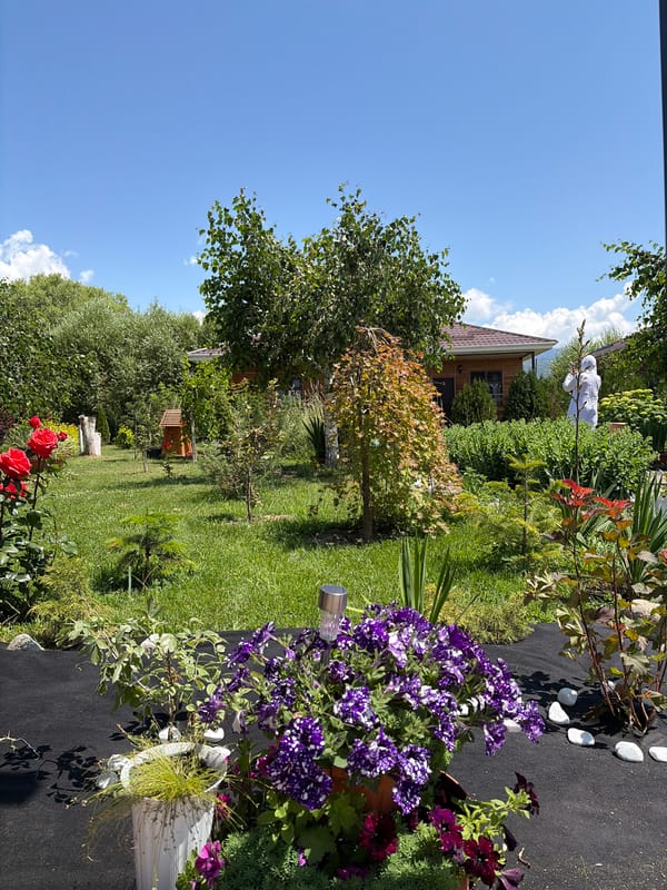 Morning visit to a Central Asian resort with gardens and hot springs