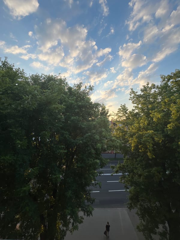 Tree-lined Minsk street seen from above on a summer day