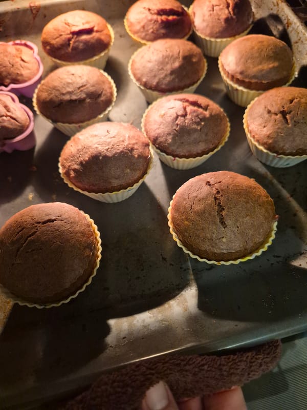 Baking, a dog, and playtime on a quiet afternoon at home