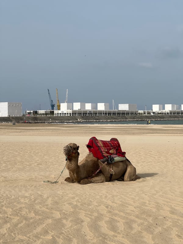 Ordinary afternoon unfolds along Tangier's tourist beachfront