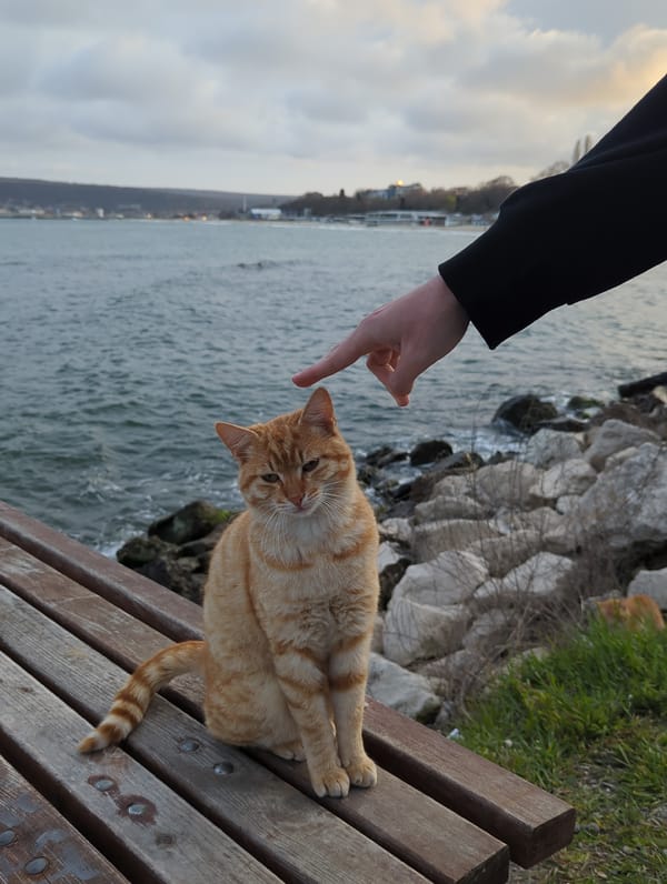 Spring scenes captured along Varna waterfront and parks