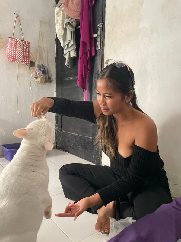 Jakarta residents share quiet moments with white cat