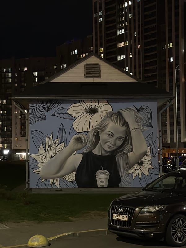 Night scene documented in Minsk featuring mural and streetlights