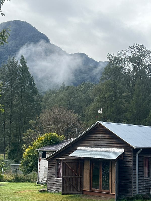 Quiet rural cabin life in the forested hills of Thora