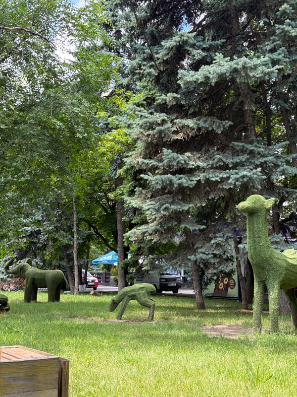 Casual park stroll documented in central Chișinău