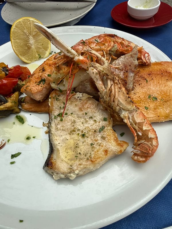 Lakeside seafood lunch and a stroll in Malcesine