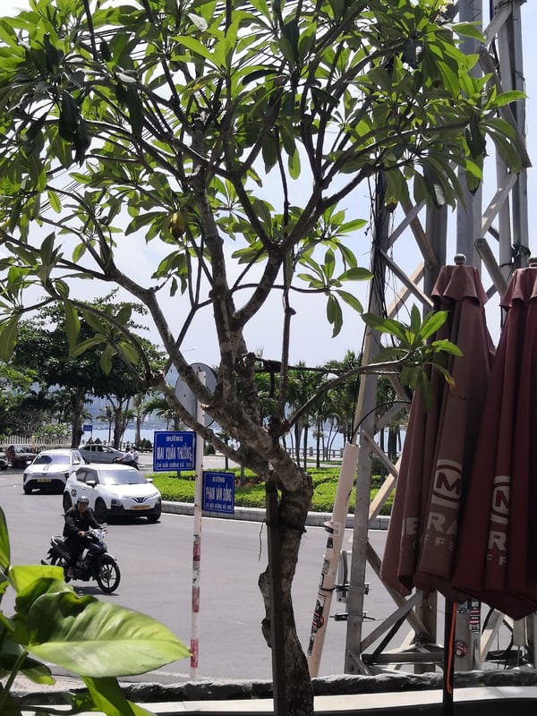 Daily life moments documented across Nha Trang, Vietnam