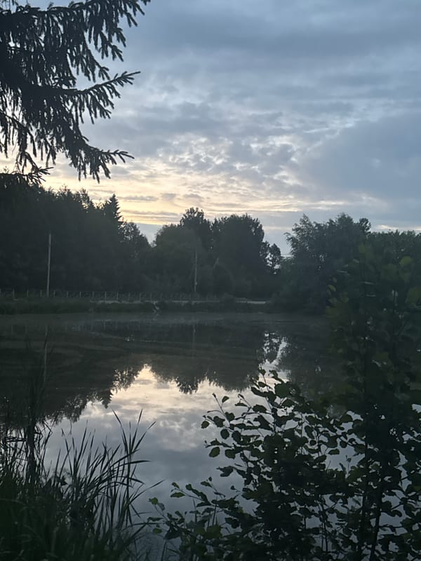 Evening social activities documented across Chaikovsky, Russia