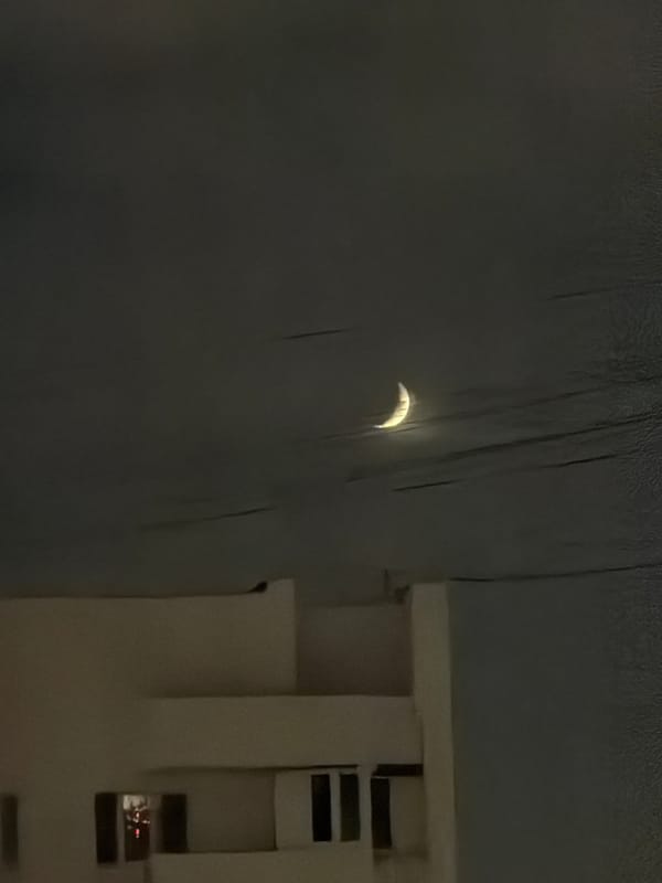Evening scenes captured in Khimki: crescent moon, resting dog