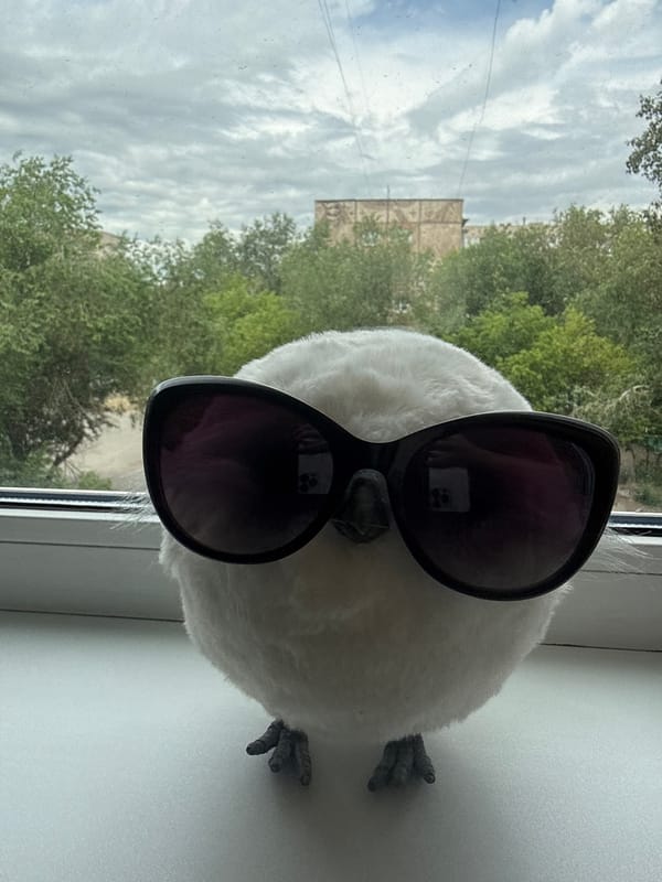 Quirky windowsill sunglasses promo shoot in Pavlodar