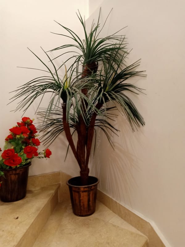 Person catalogs household items and food across Kuwait locations