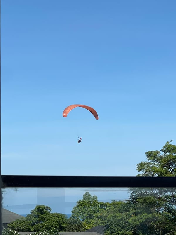 Paraglider spotted, dogs watch through window at same location