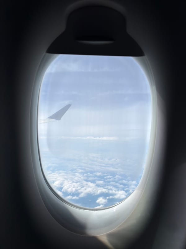 Airport art installation and in-flight window view from the same trip