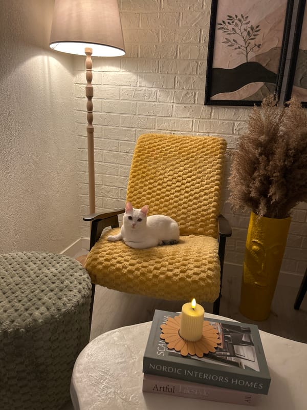 Inside a stylish Bălți apartment with pets and warm decor