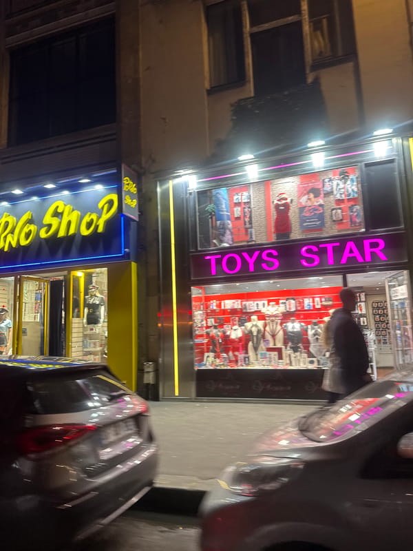 Adult retail shops documented at night in Paris