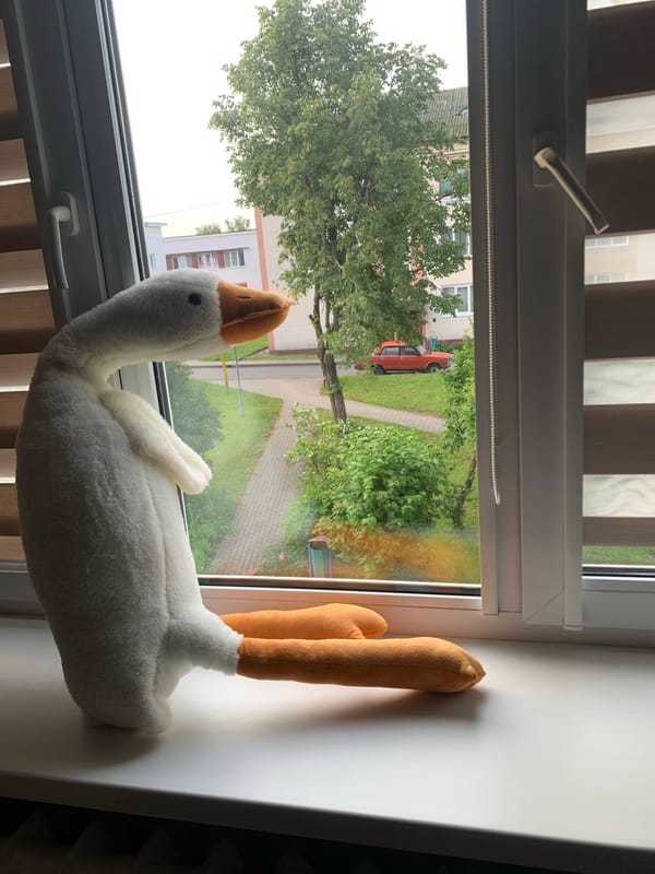 Toy goose and real birds in Kapyĺ residential area