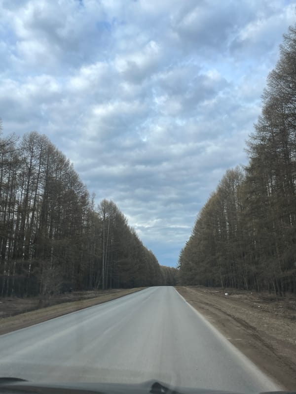 Car journey documented through rural Russian village roads