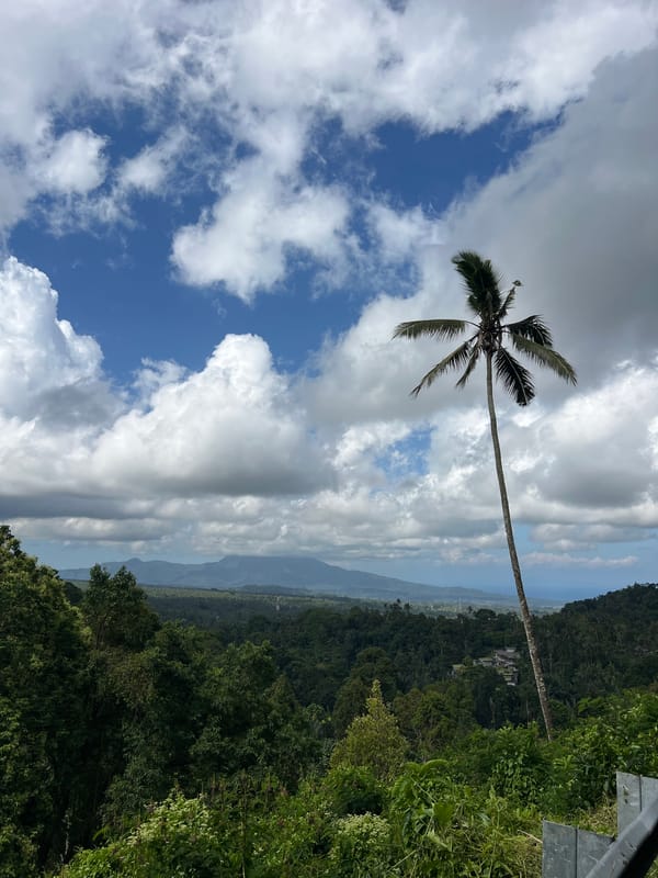 Morning landscape view captured in Bebandem, Indonesia