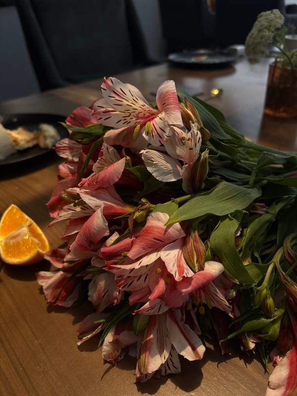 Puebla dining and street scenes captured during afternoon period