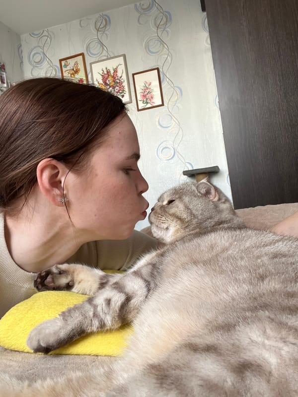 Domestic morning routine with cats documented in Chaikovsky, Russia