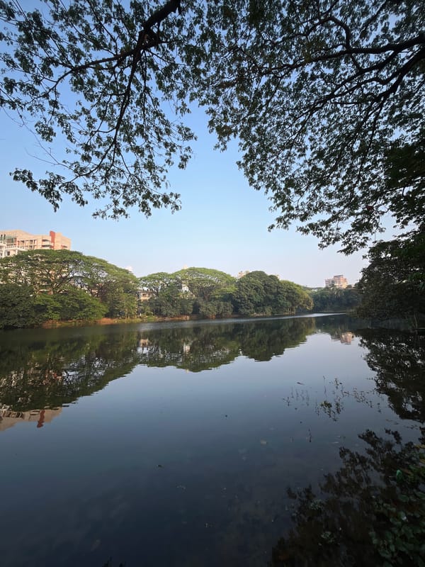 Peaceful lake reflections documented in Dhaka park area