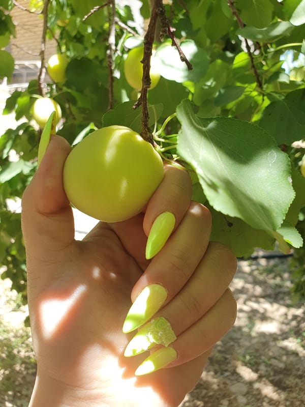 Daily life documented in Kheyrabad: coffee, Persian cuisine, harvesting