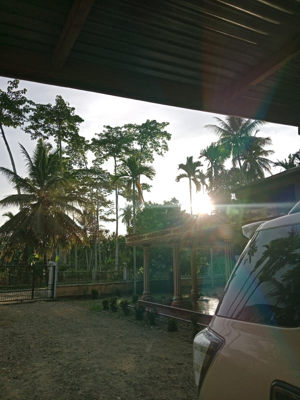 Rural tropical agriculture scenes documented across morning hours
