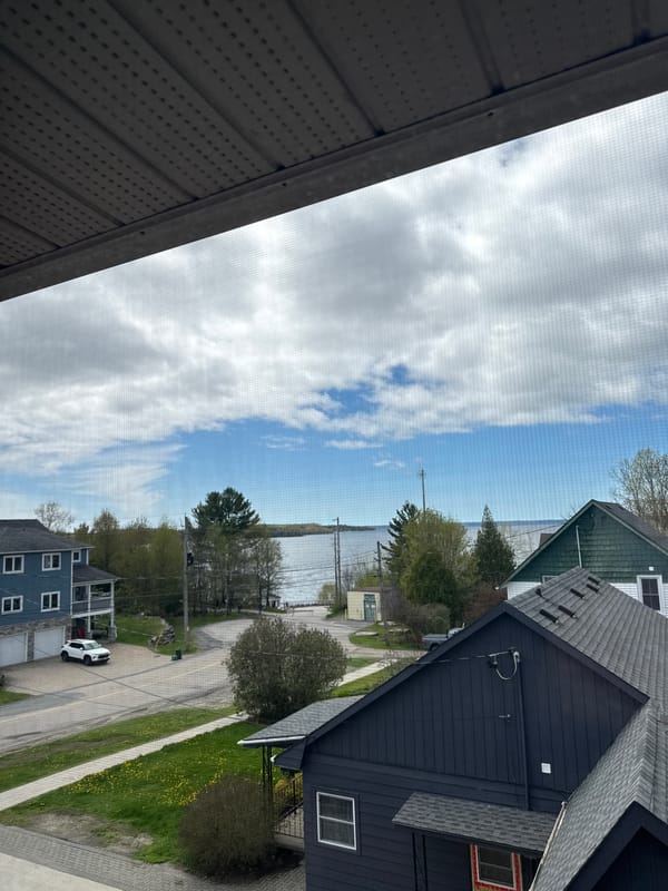Waterfront view captured through window screen at residential location