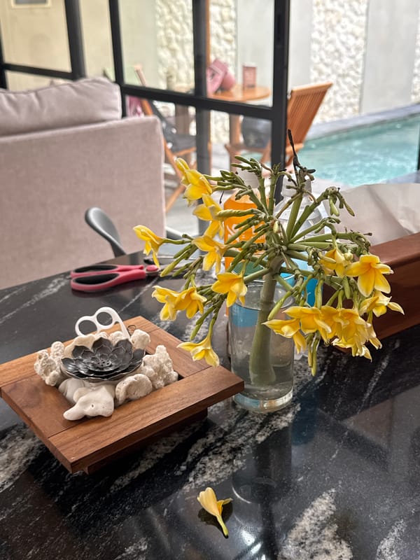 A relaxed villa morning across Denpasar and Kuta, Bali