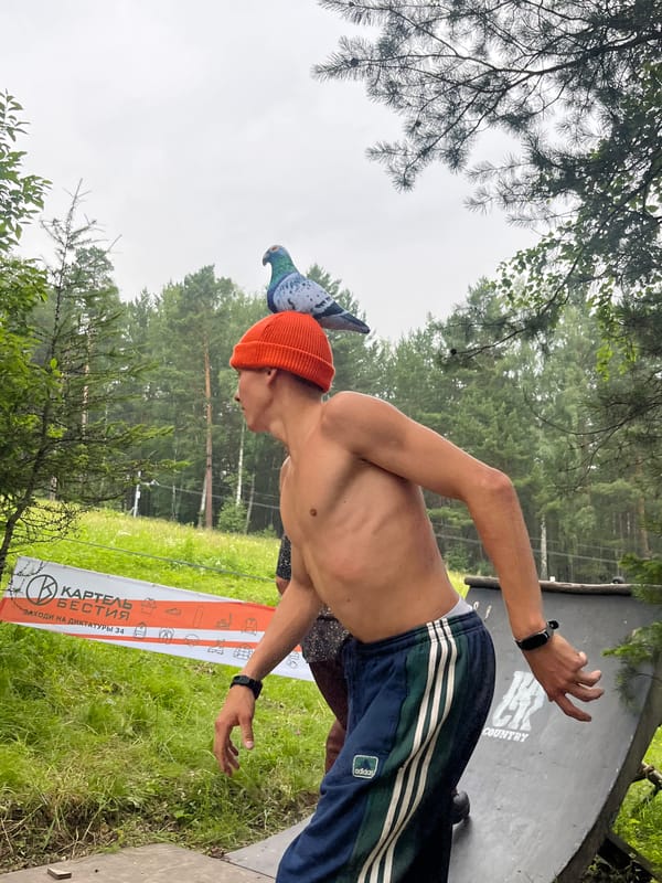 Pigeon lands on someone's head at a Divnogorsk skate park