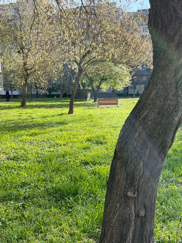 Early morning park scenes documented in Pazardzhik, Bulgaria