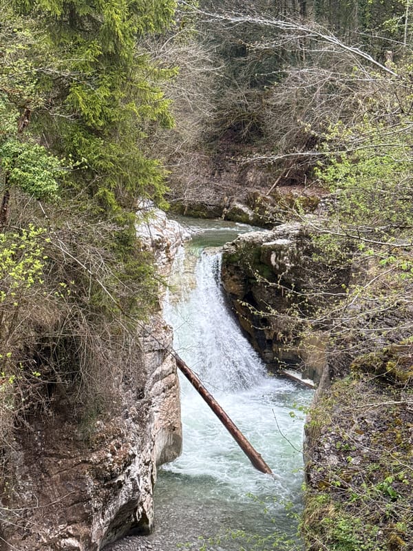 Waterfall with fallen log observed in Kuchl, Austria