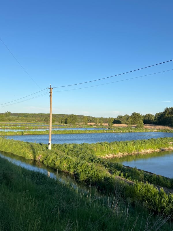 Rural waterways and landscapes documented near Reniv, Ukraine