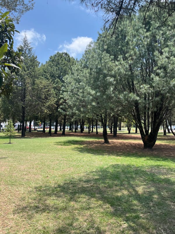 Sunny afternoon scenes documented in San Andrés Cholula park