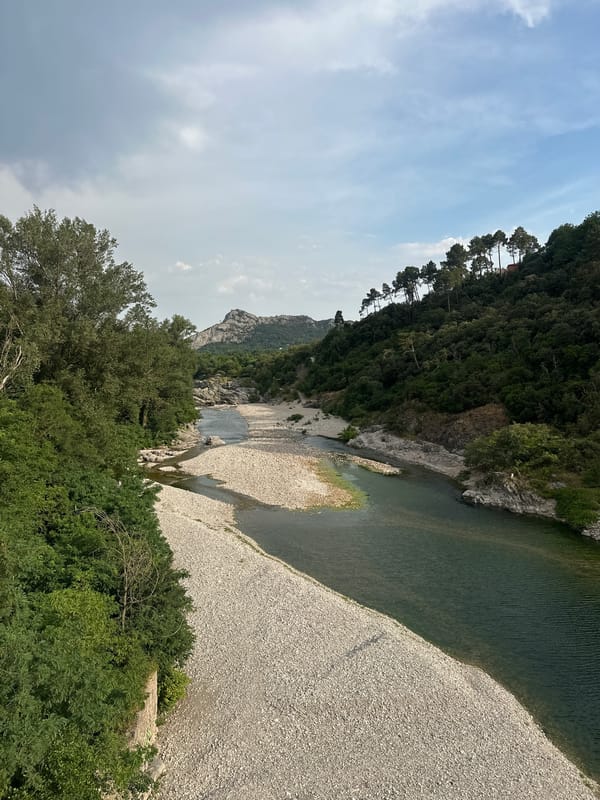 Swimming and cliff jumping at a scenic river gorge